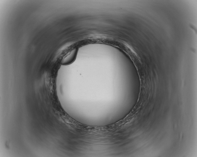 X0000099441016200805090743