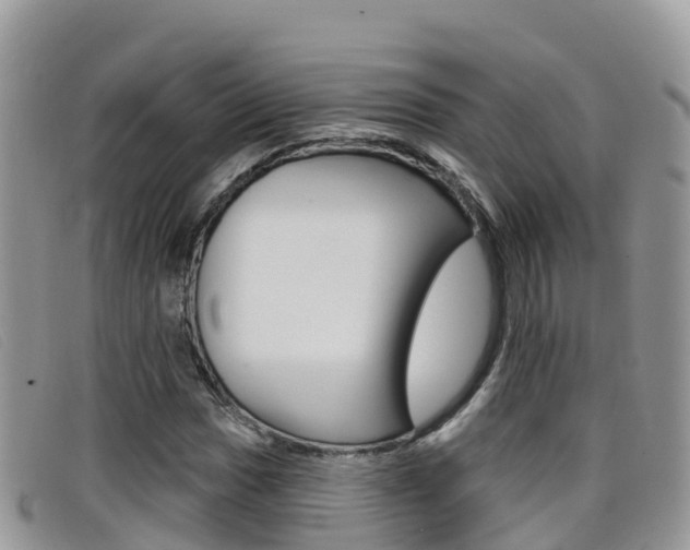 X0000099441017200805090743