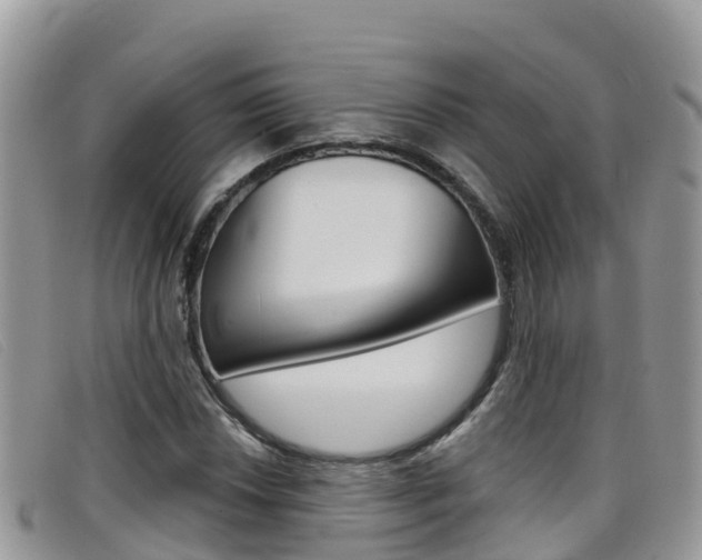 X0000099441018200805090743