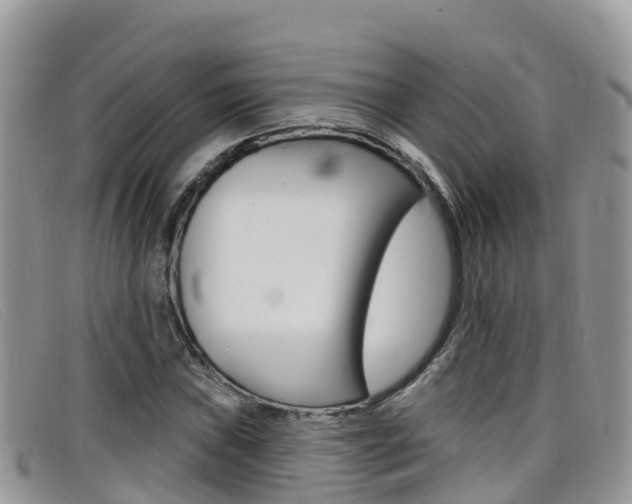 X0000099441019200805090743
