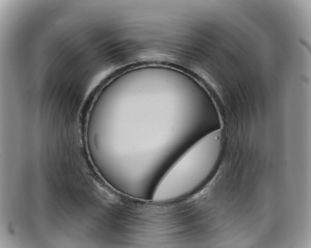X0000099441022200805090743