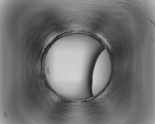 X0000099441023200805090743