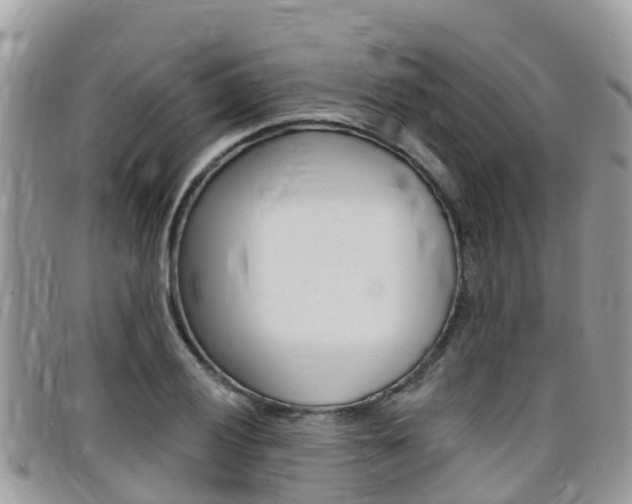 X0000099441028200805090743
