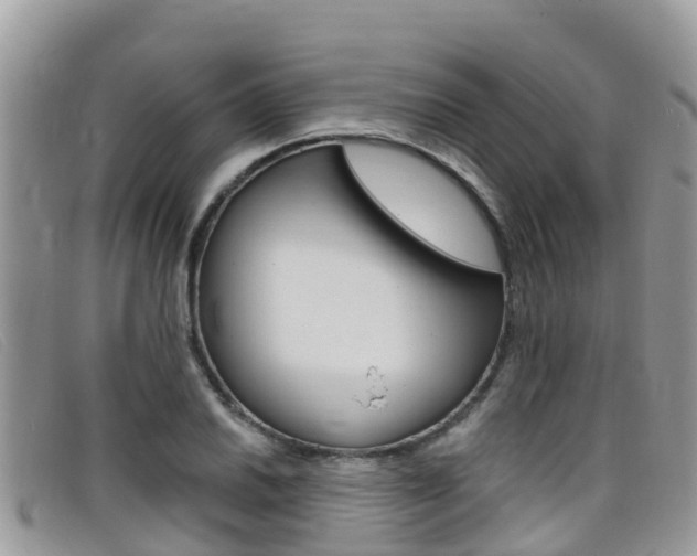 X0000099441030200805090743