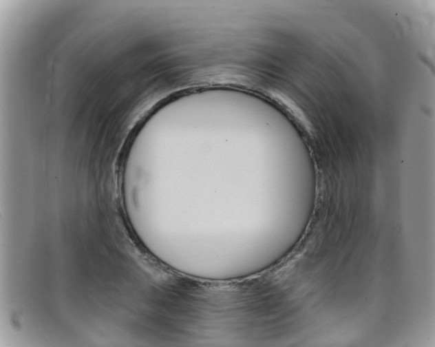 X0000099441031200805090743