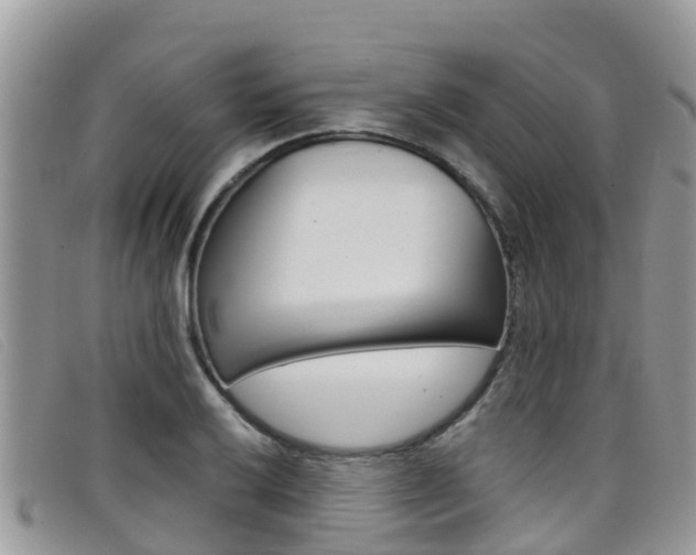 X0000099441032200805090743