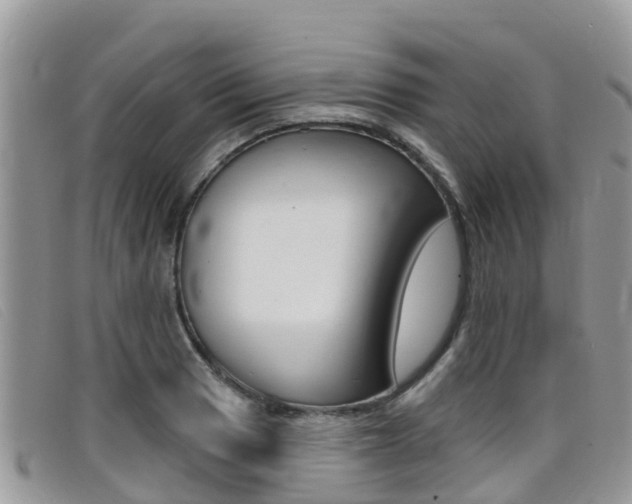 X0000099441033200805090743