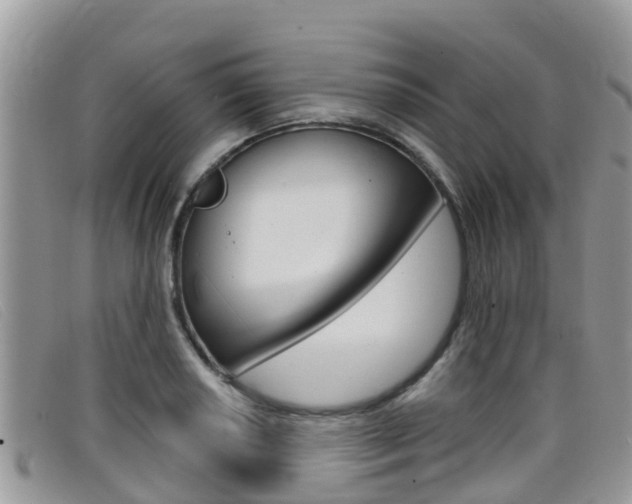 X0000099441034200805090743