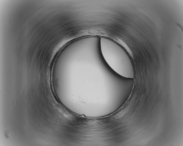 X0000099441035200805090743