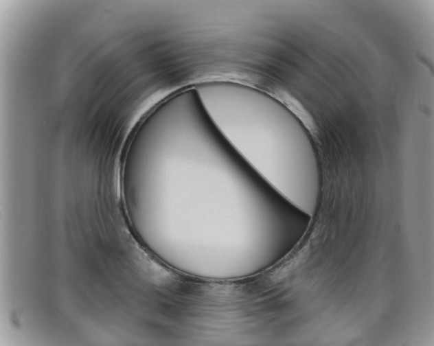 X0000099441036200805090743