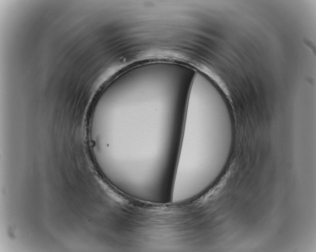 X0000099441037200805090743
