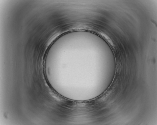 X0000099441039200805090743
