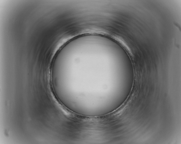 X0000099441040200805090743