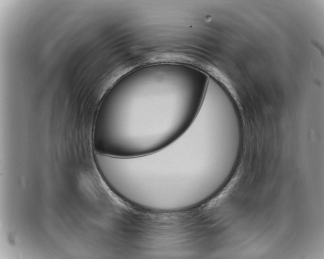 X0000099441041200805090743
