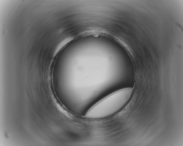 X0000099441042200805090743