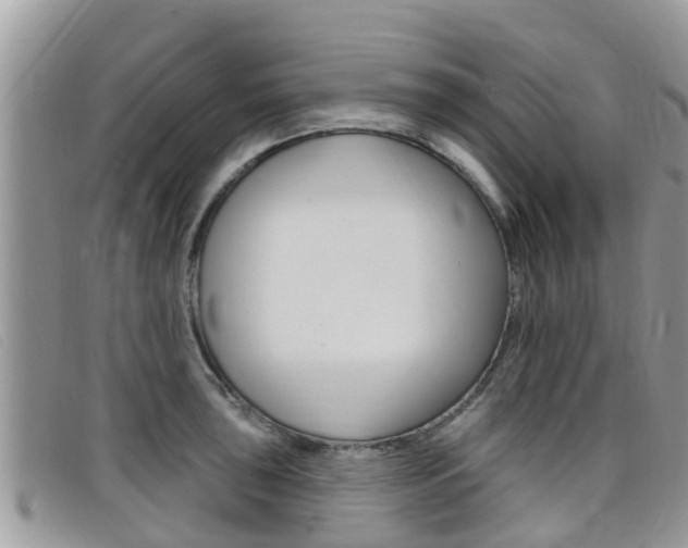 X0000099441043200805090743