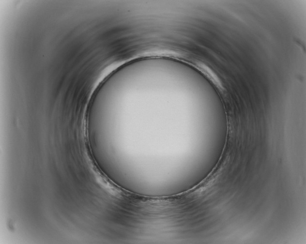 X0000099441044200805090743
