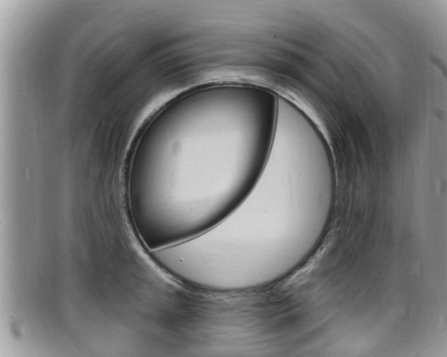 X0000099441045200805090743