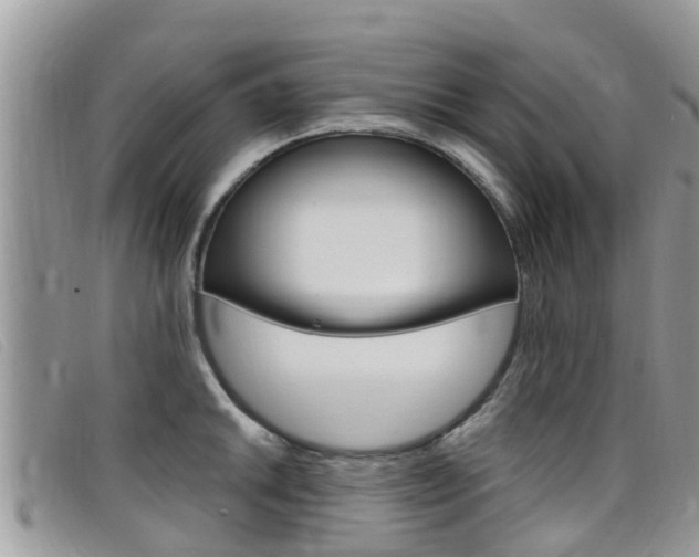 X0000099441046200805090744