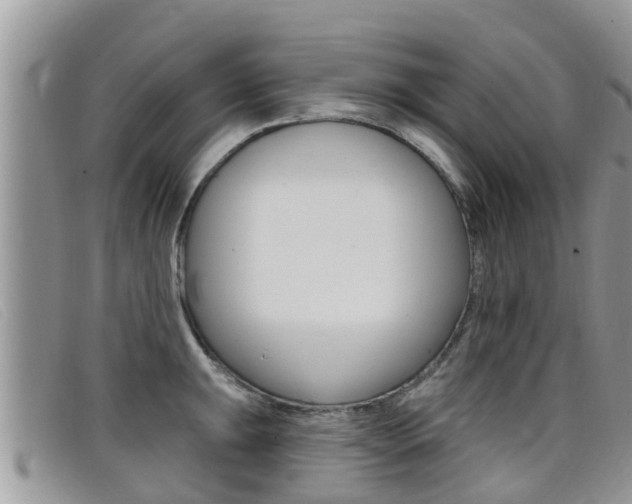 X0000099441047200805090744