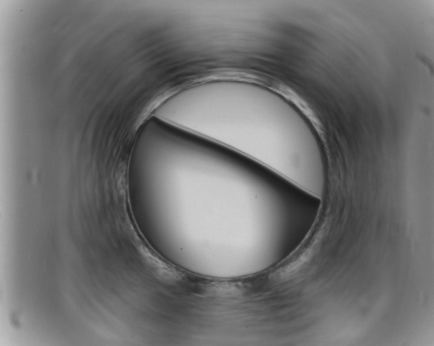 X0000099441049200805090744