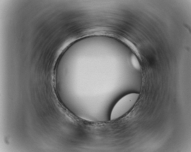 X0000099441051200805090744