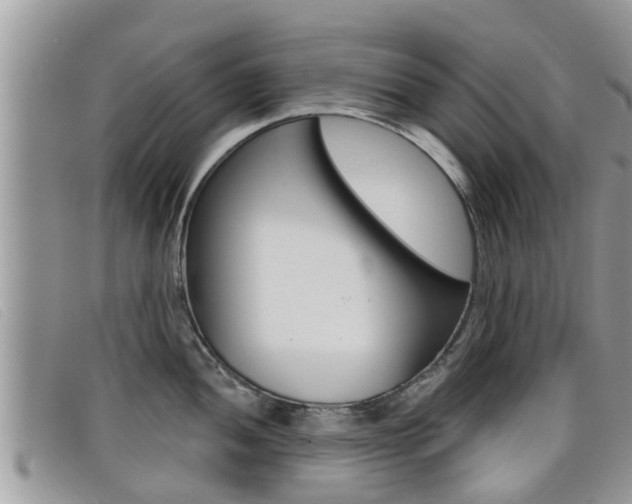 X0000099441052200805090744