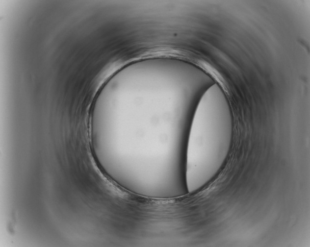 X0000099441055200805090744
