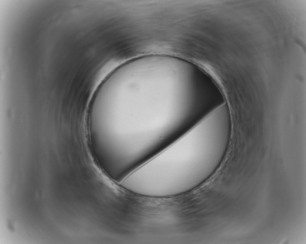 X0000099441056200805090744