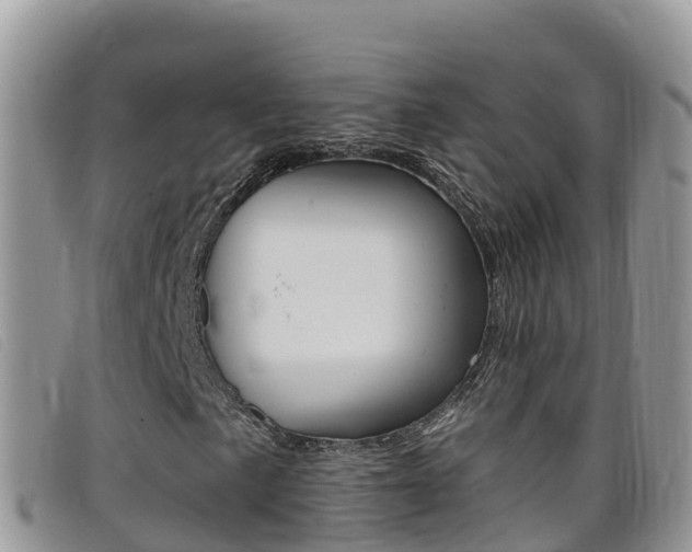 X0000099441057200805090743