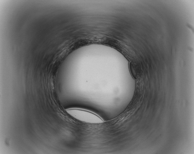X0000099441058200805090743