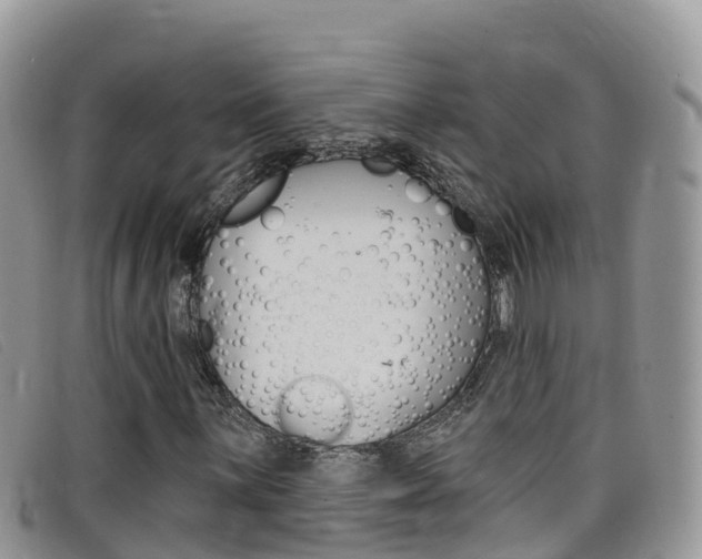 X0000099441059200805090743