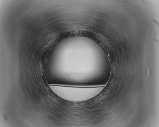 X0000099441060200805090743