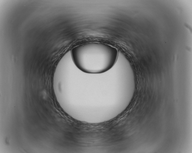 X0000099441061200805090743