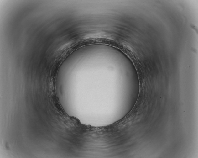 X0000099441062200805090743