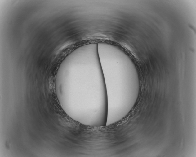 X0000099441063200805090743