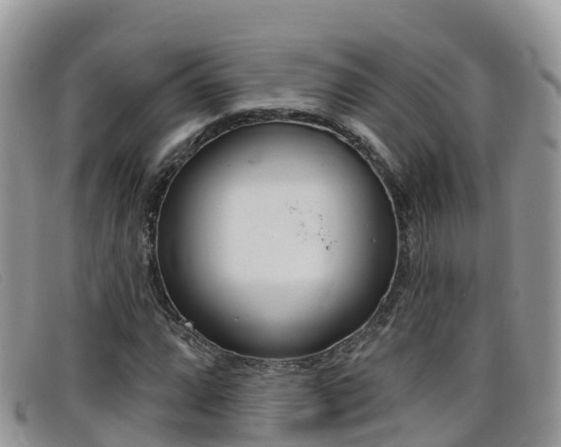 X0000099441064200805090743