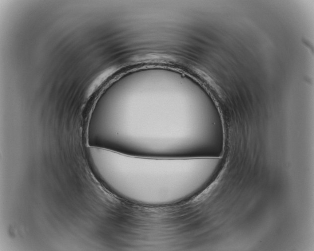 X0000099441066200805090743