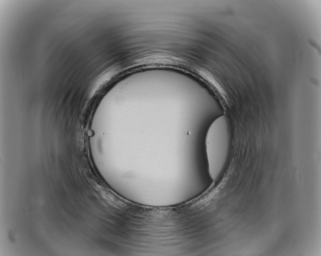 X0000099441067200805090743