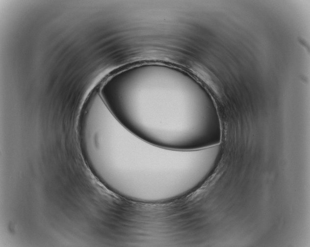 X0000099441068200805090743