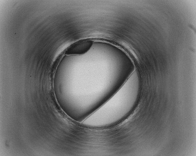 X0000099441069200805090743