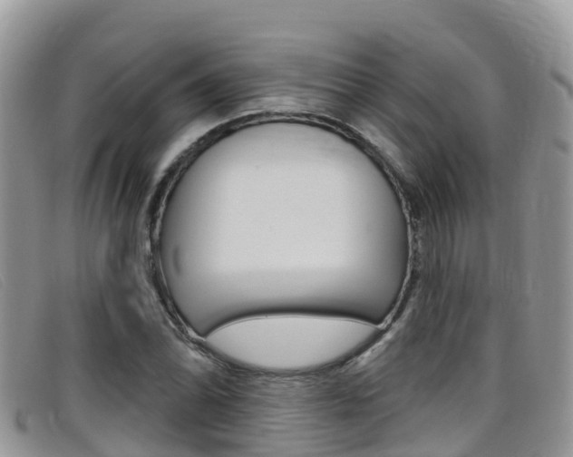 X0000099441070200805090743