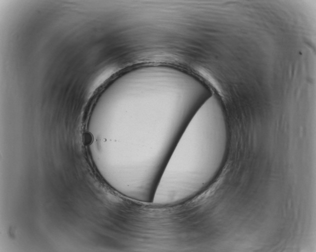 X0000099441071200805090743