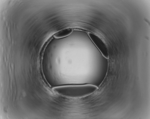 X0000099441076200805090743