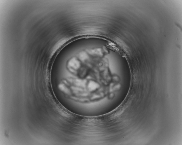 X0000099441077200805090743
