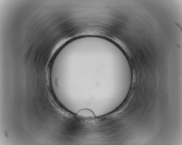X0000099441078200805090743