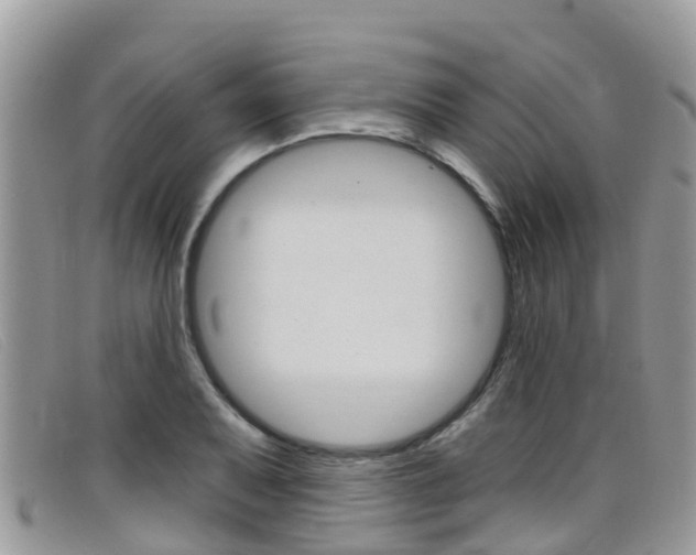 X0000099441079200805090743