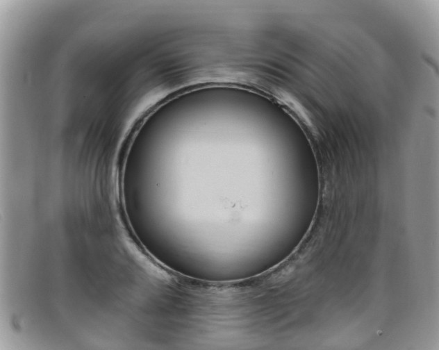 X0000099441080200805090743