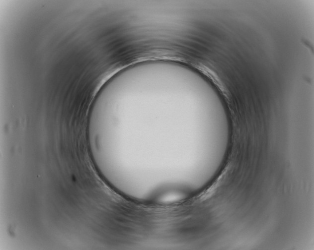 X0000099441081200805090743