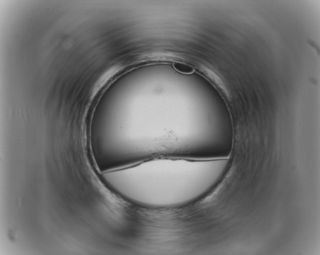 X0000099441082200805090743